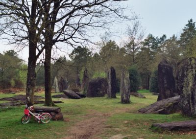 Montneuf's Menhirs