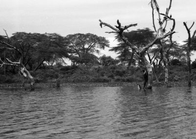 Fisherman, Naivasha Lake, Kenya, février 2020