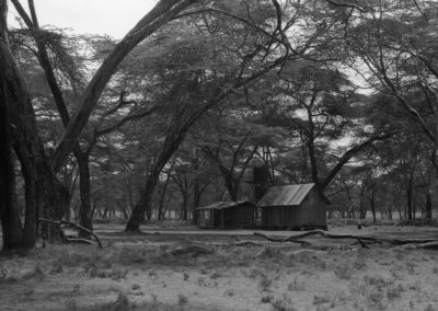 Sanctuary Farm, Naivasha Lake, Kenya, February 2020